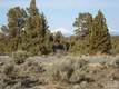 1099 SW Bent Loop, Powell Butte, OR 97753