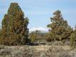 1099 SW Bent Loop, Powell Butte, OR 97753
