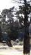 0 Butler Road, Terrebonne, OR 97756