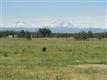 3500 NW Ice Ave , Terrebonne, OR