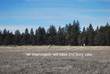 271 E Sun Ranch Dr, Sisters, OR 97759