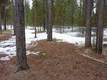 16933 Sacramento Road, Bend, OR 97707
