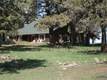 17380  Forked Horn Dr 