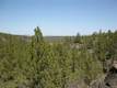 70134  Mckenzie Canyon Road , Sisters, OR