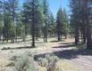 69450  Green Ridge Loop , Sisters, OR