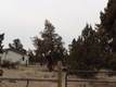 25385  Cultus Lane , Bend, OR