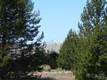 56835  Nest Pine Dr , Bend, OR