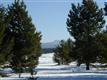 56835 Nest Pine Dr, Bend, OR 97707