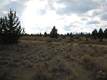 Land for sale in Culver, OR 97734
