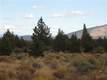 Land for sale in Culver, OR 97734