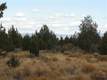 Land for sale in Culver, OR 97734
