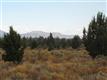 Land for sale in Culver, OR 97734