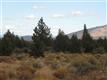 Land for sale in Culver, OR 97734