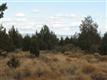Land for sale in Culver, OR 97734