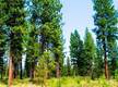 0 Collar Dr, La Pine, OR 97739
