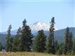 56575 Nest Pine Dr, Bend, OR 97707