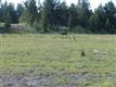 56575 Nest Pine Dr, Bend, OR 97707