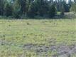 56575 Nest Pine Dr, Bend, OR 97707