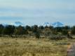 Land for sale in Powell Butte, OR 97753