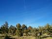 Land for sale in Powell Butte, OR 97753