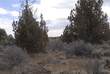 25325 Elk Lane, Bend, OR 97701