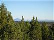 1605 NW Wild Rye Circ 