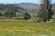 91029 W 140 Hwy, Lakeview, OR 97630