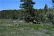 91029 W 140 Hwy, Lakeview, OR 97630