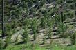 91029 W 140 Hwy, Lakeview, OR 97630