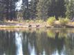 56536 Caldera Springs Ct, Bend, OR 97707