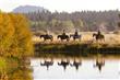 56536 Caldera Springs Ct, Bend, OR 97707