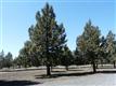 11175 SW Pixie Lane, Culver, OR 97734