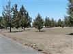 11175 SW Pixie Lane, Culver, OR 97734