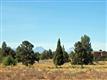 65940 Pronghorn Estates Dr, Bend, OR 97701
