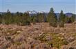 61654 Belmore Loop, Bend, OR 97702