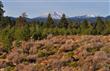 61654 Belmore Loop, Bend, OR 97702