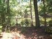 Batesburg