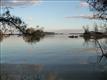 0 Edgewater Drive #42, Prosperity, SC 29127