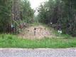 0 Misty Lane, Gilbert, SC 29054
