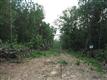 0 Misty Lane, Gilbert, SC 29054