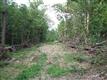 0 Misty Lane, Gilbert, SC 29054