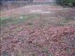90 Tillman None, Columbia, SC 29206