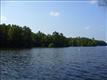 0  Tortoise Trail , Batesburg, SC
