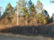 1466  Charles Town Road , Pelion, SC