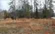 407  Beechwoods Drive , Lexington, SC