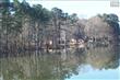 Leesville
