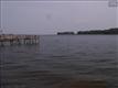 Chapin