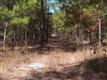 11681  Garners Ferry Road , Eastover, SC