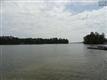 178  Peninsula Drive , Prosperity, SC