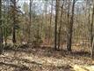 346  Terry Road , Pelion, SC